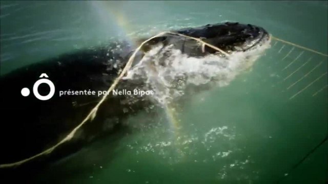 Investigations - 8 mai