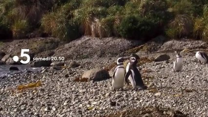 Échappées belles : Patagonie, le grand spectacle de la nature - 20 avril