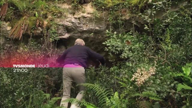 Des racines et des ailes : Entre le Lot et la Dordogne