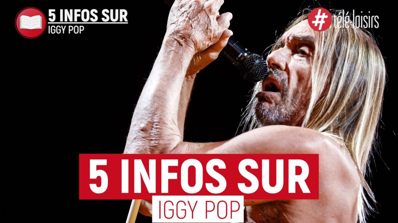 5 infos sur Iggy Pop, le monument du punk/rock !