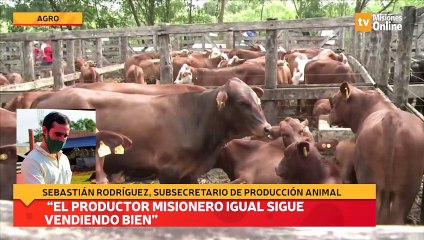 “El productor misionero igual sigue vendiendo bien"