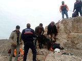 Siirt'te kayalıklarda 14 gündür mahsur kalan keçi kurtarıldı