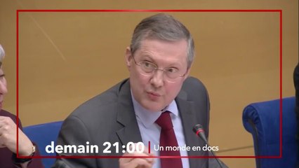 Le monde en docs : L’affaire Benalla, l’enquête du Sénat - 27 avril
