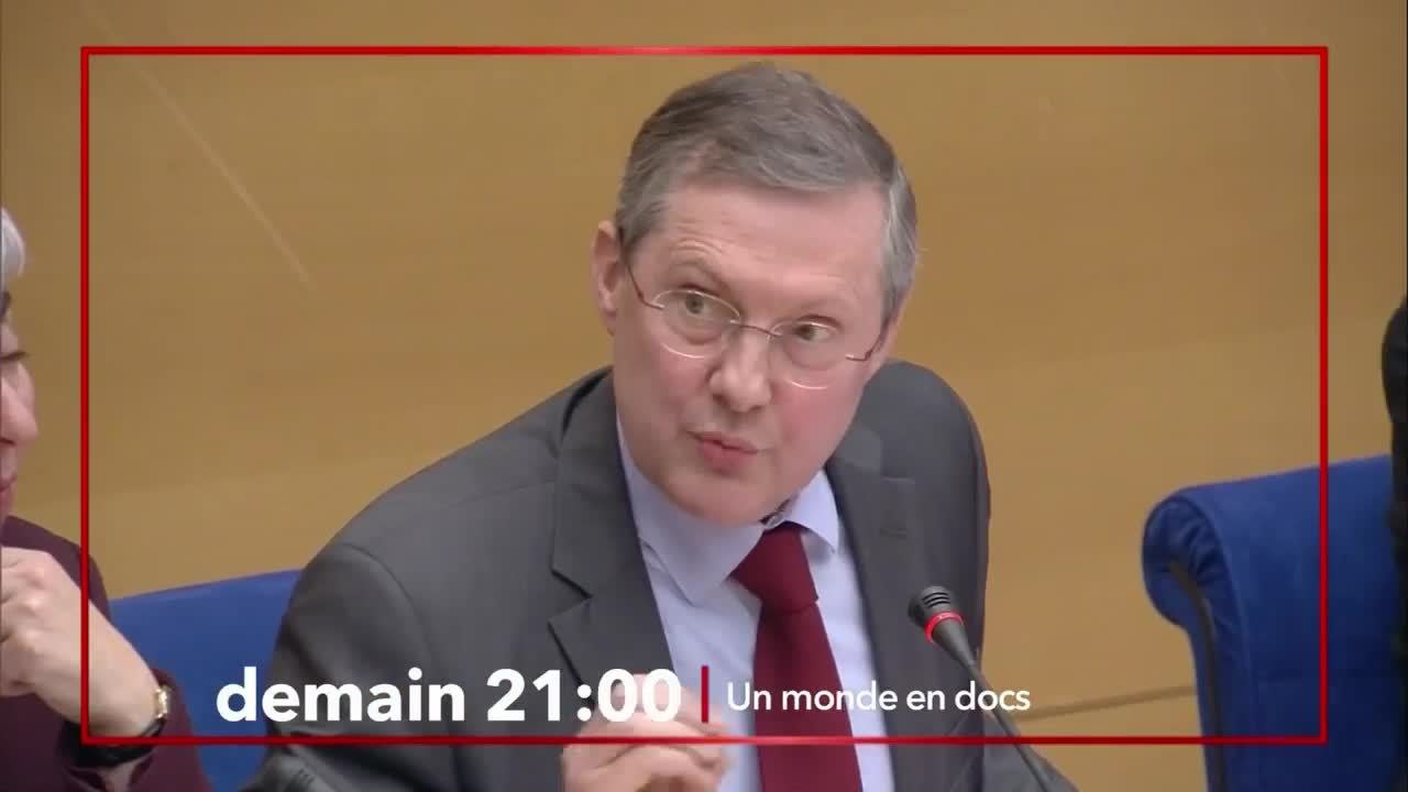 Le monde en docs : L’affaire Benalla, l’enquête du Sénat - 27 avril