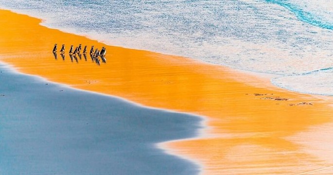 Voici les photos sublimes gagnantes du concours Nature Photographer of the Year 2021