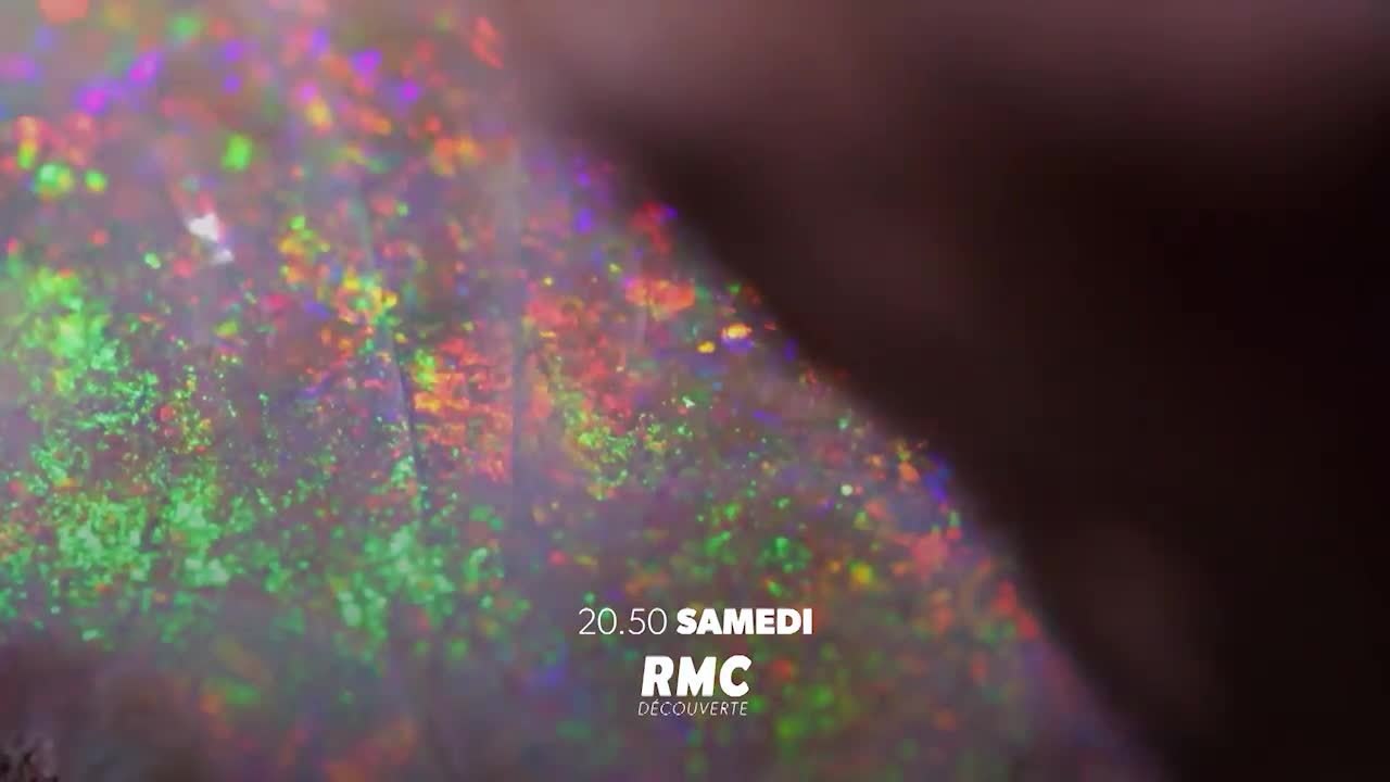 Chercheurs d’opale - 27 avril