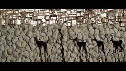 L’île aux chiens - 20 avril