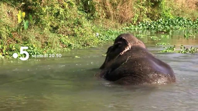 Échappées belles (Népal, le voyage inattendu) - 13 avril