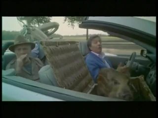 Albert est méchant - 8 avril