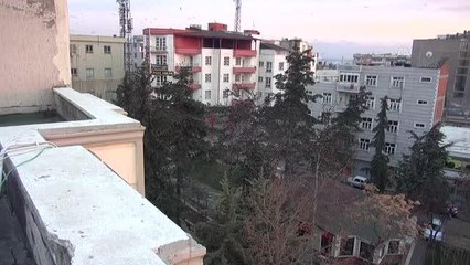 ŞANLIURFA - Sığırcık kuşlarından gün batımı dansı