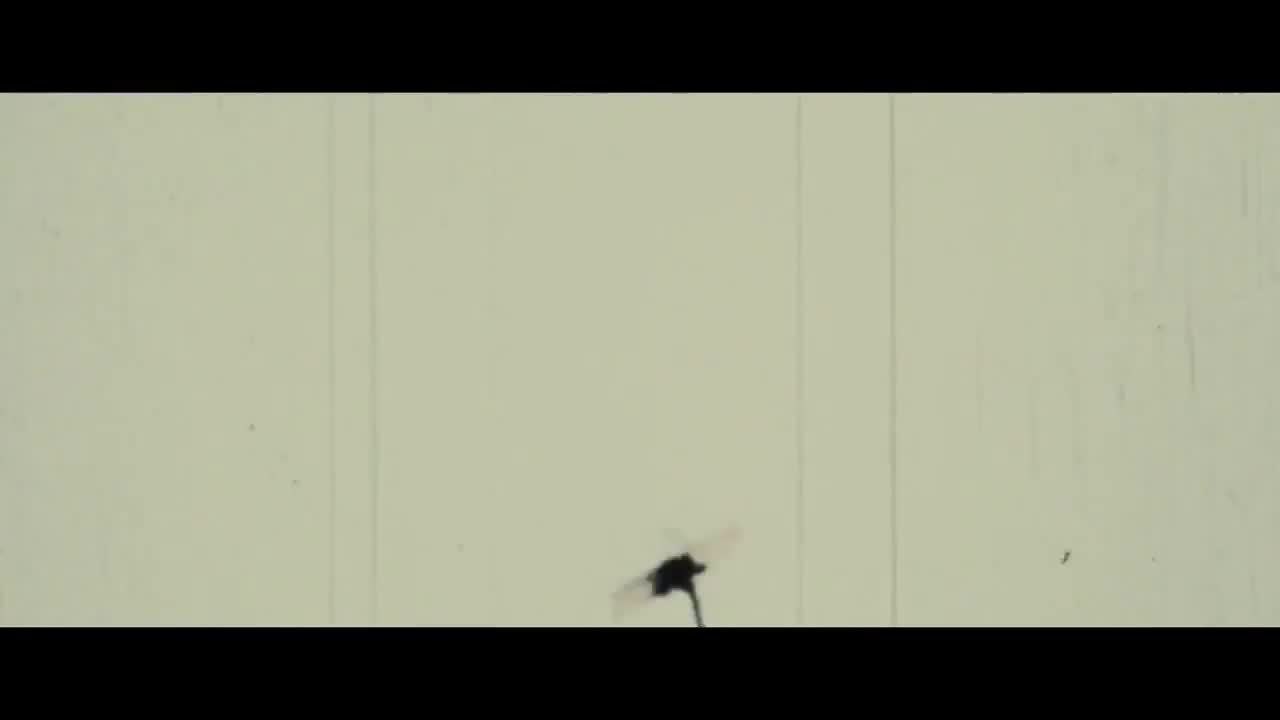 Imitation Game