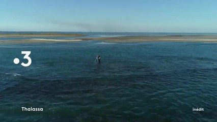 Thalassa : Camargue, Venise : les peuples des lagunes
