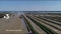 Des racines et des ailes : Passion patrimoine : Du Poitou aux îles des Charentes