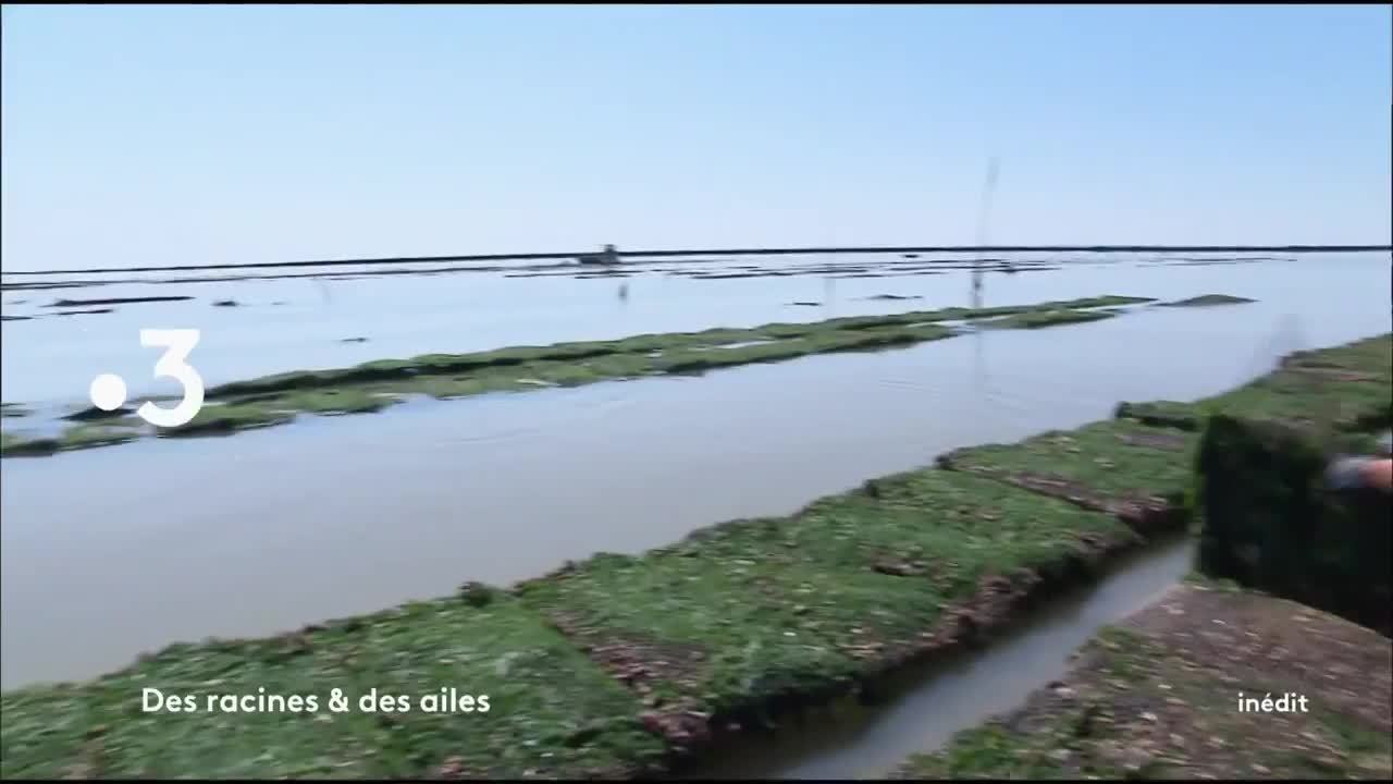 Des racines et des ailes - 3 avril