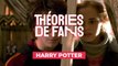 Théories de fans : Hermione est-elle la soeur cachée d'Harry Potter ?