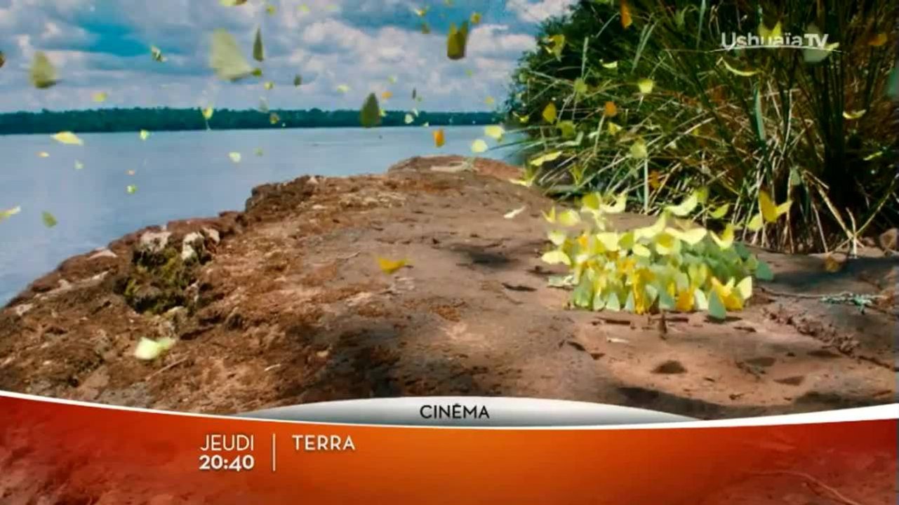 Terra