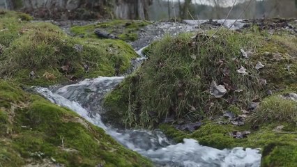 SOUVIENS-TOI DE TON FUTUR