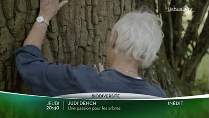 Judi Dench : une passion pour les arbres