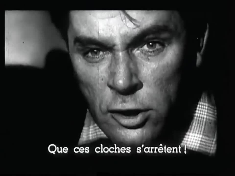 Les corps sauvages