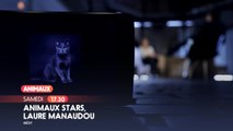 Animaux stars : Laure Manaudou