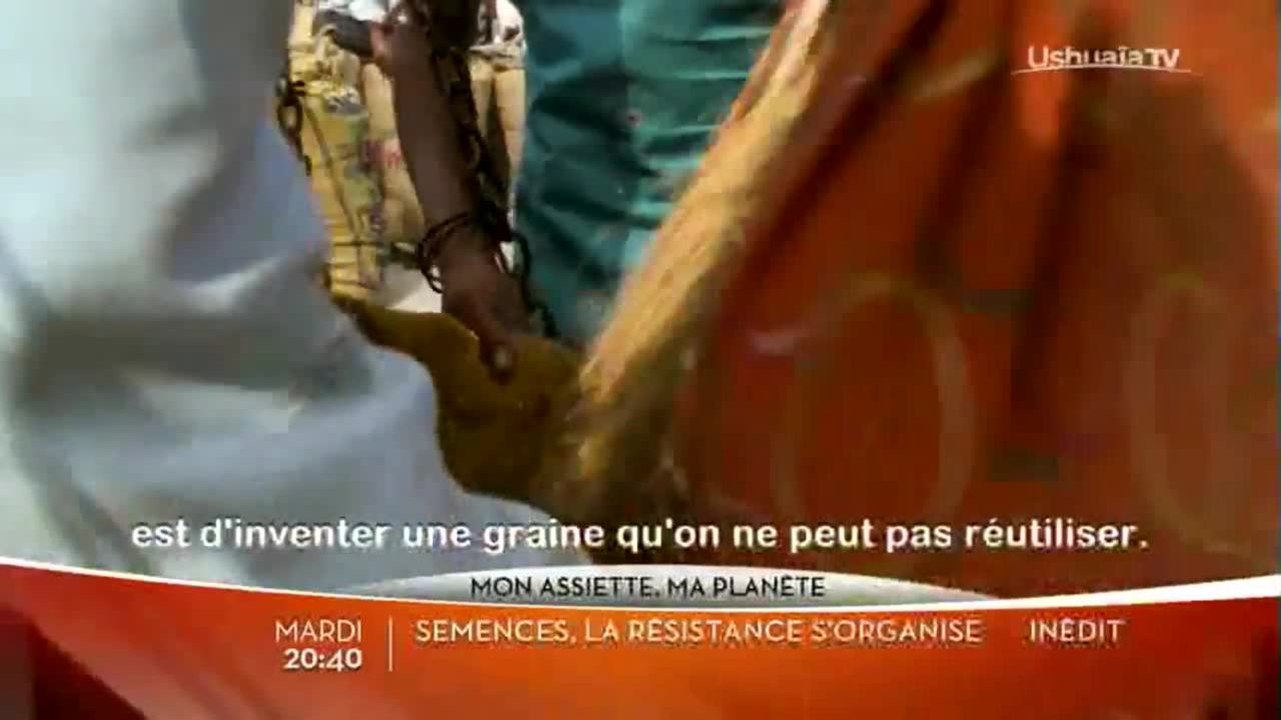 Semences, la résistance s'organise