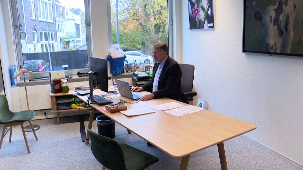 Zwölfmal so viele Nutztiere wie Menschen: Niederlande im Klima-Interessenskonflikt