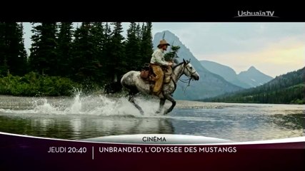 Lumière sous l'Arctique/L'odyssée sibérienne/Chacun son monde/Unbranded/Les enquêtes d'Ushuaïa TV/Polar Quest 2018/La valse des continents