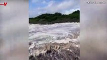 Must See! Insane Tidal Waves Wash Ashore, Create Havoc in Aftermath of Cyclone Seth in Australia