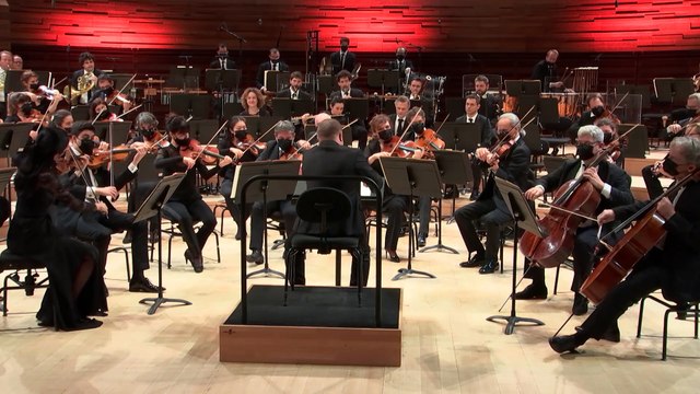 Johann Strauss I : Lorelei Rhein Klänge