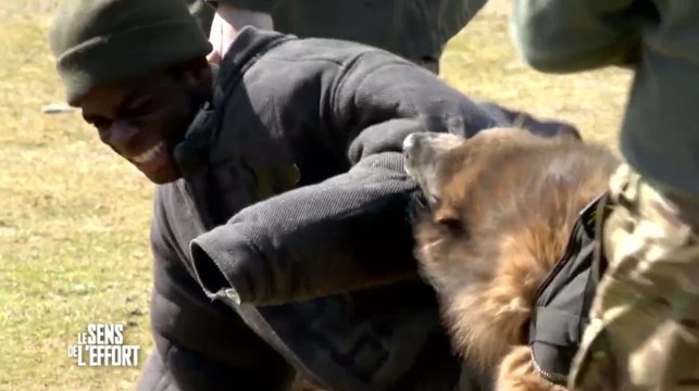 Tétanisés, les décrocheurs du Sens de l'Effort sur M6 doivent affronter des chiens d'attaque...