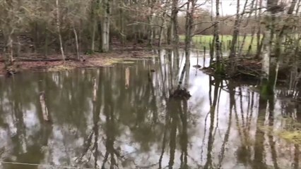L’eau commence à monter tout autour de Romilly
