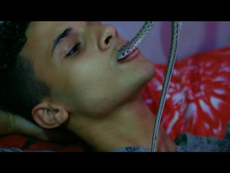 شاب يربي ثعابين داخل أوضة نومه.. بيناموا في حضني