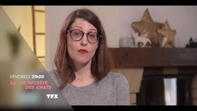 La vie secrète des chats : Le chat : meilleur ami de l'homme ?