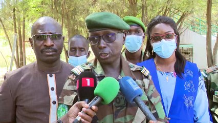 Programme xeyu ndawyi , volet environnement : 340 jeunes en formation à dakar