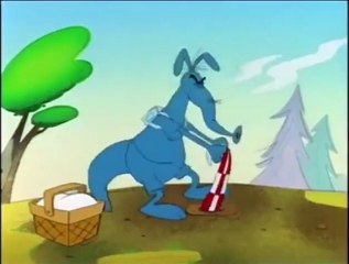 Aardvark Geyser Inflation