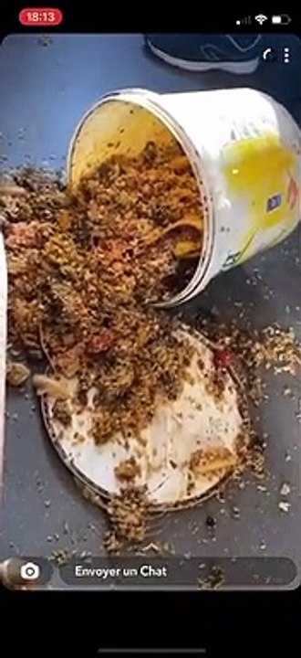 Premier acte d’indiscipline dans le Ter : il verse un seau de riz dans la cabine à passager