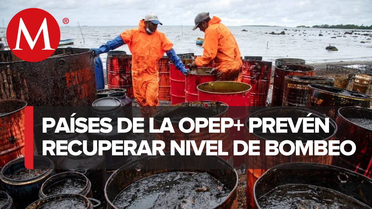 OPEP aumenta a 400 mil barriles de petróleo diarios su producción para febrero