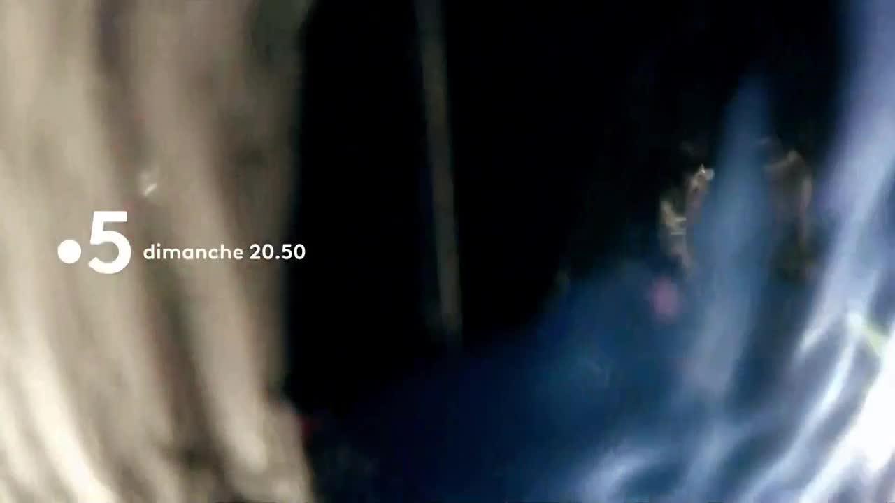 Mollo sur le cabillaud   - 20 janvier