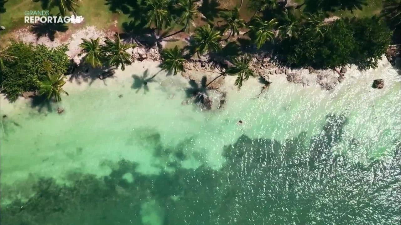 Grands Reportages (TF1) : ces quatre couples ont décidé de vivre un Nouvel An pas comme les autres !