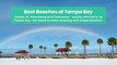Best Beaches of Tampa Bay