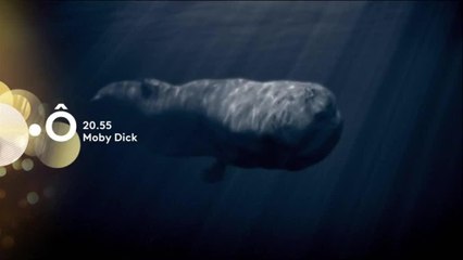 Moby Dick - 26 décembre