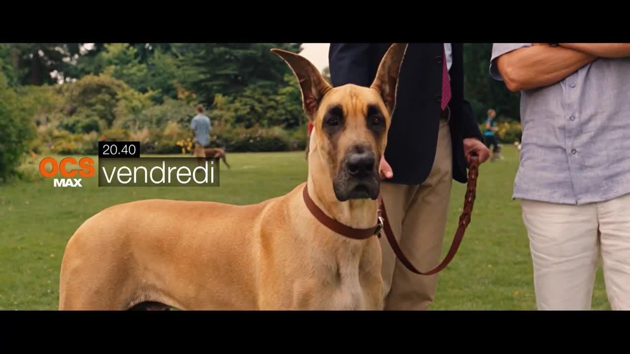 Marmaduke