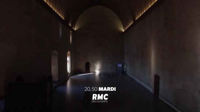 Palais des papes, forteresse gothique