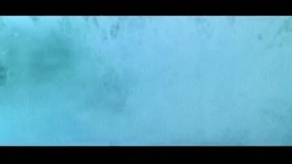 Spirit, l'étalon des plaines