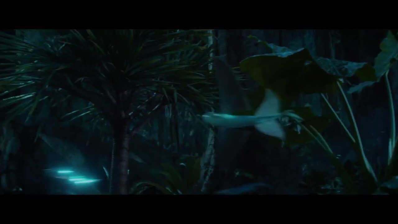 Pan