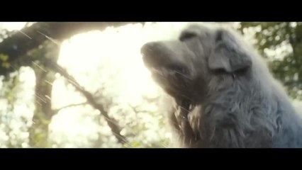 Belle et Sébastien : l'aventure continue