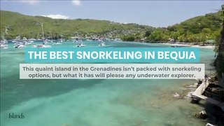 The Best Snorkeling in Bequia