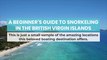 A Beginner's Guide to Snorkeling in the British Virgin Islands