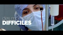 Vétérinaires, leur vie en direct