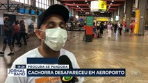 Uma cachorrinha desapareceu durante uma conexão no aeroporto de Guarulhos. O dono faz buscas por conta própria pra tentar achar a 'Pandora'